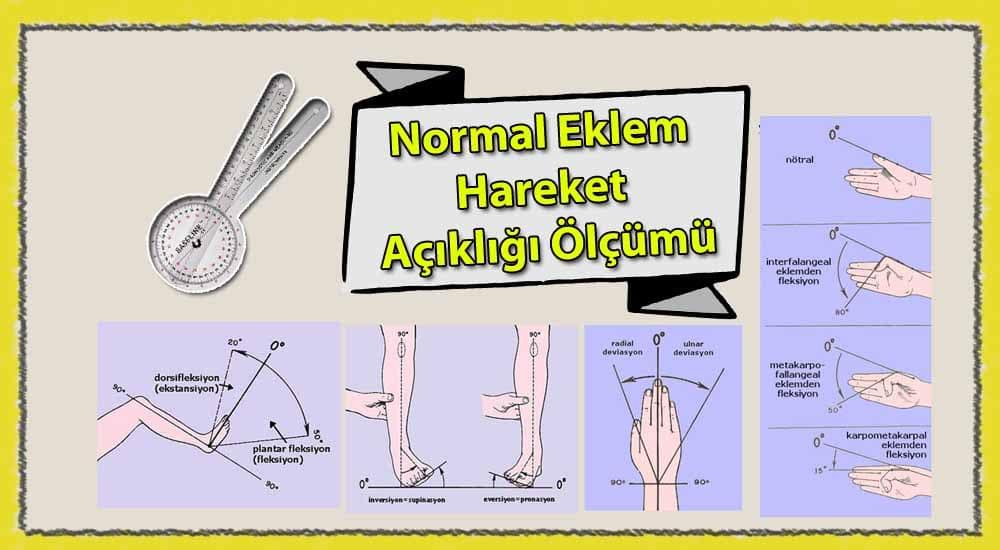 5) Hareket Aralığının ​Önemi ‍ve Faydaları