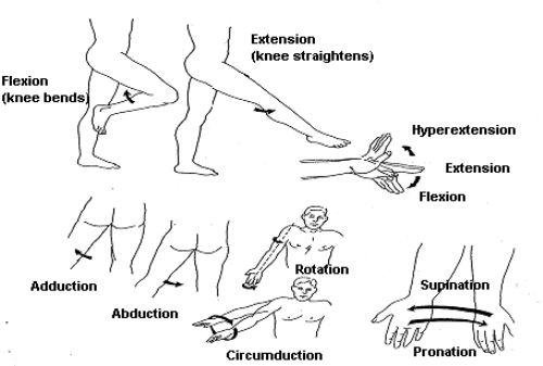 Range of Motion Nedir? 10 Temel Bilgi ve Tanım