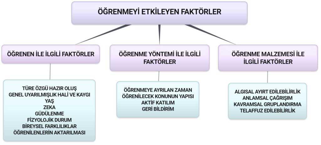 Miyozis Nedir? Bilmeniz Gereken 10 Temel Faktör