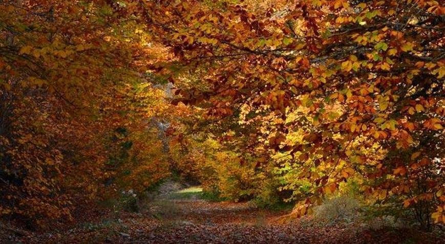 7) Dinginlik: ⁣Güz ⁣kelimesi, sakin ve huzurlu bir atmosferi yansıtır