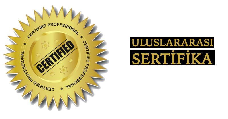 2) Bu belgenin uluslararası geçerliliği hakkında bilgilere