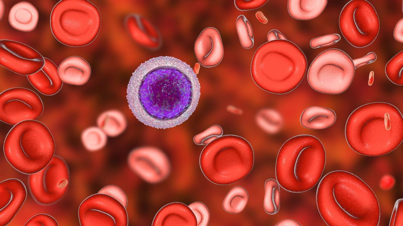 3) Hematolojik hastalıkların teşhisinde ilk adım olarak önemli bir rol oynar