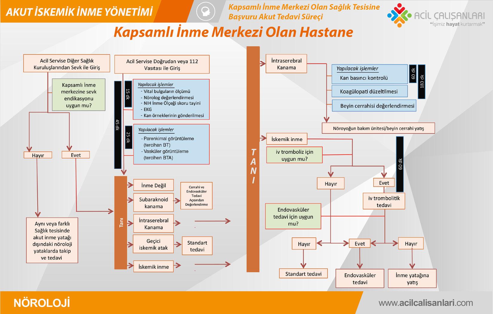 6) İnme tedavi seçenekleri