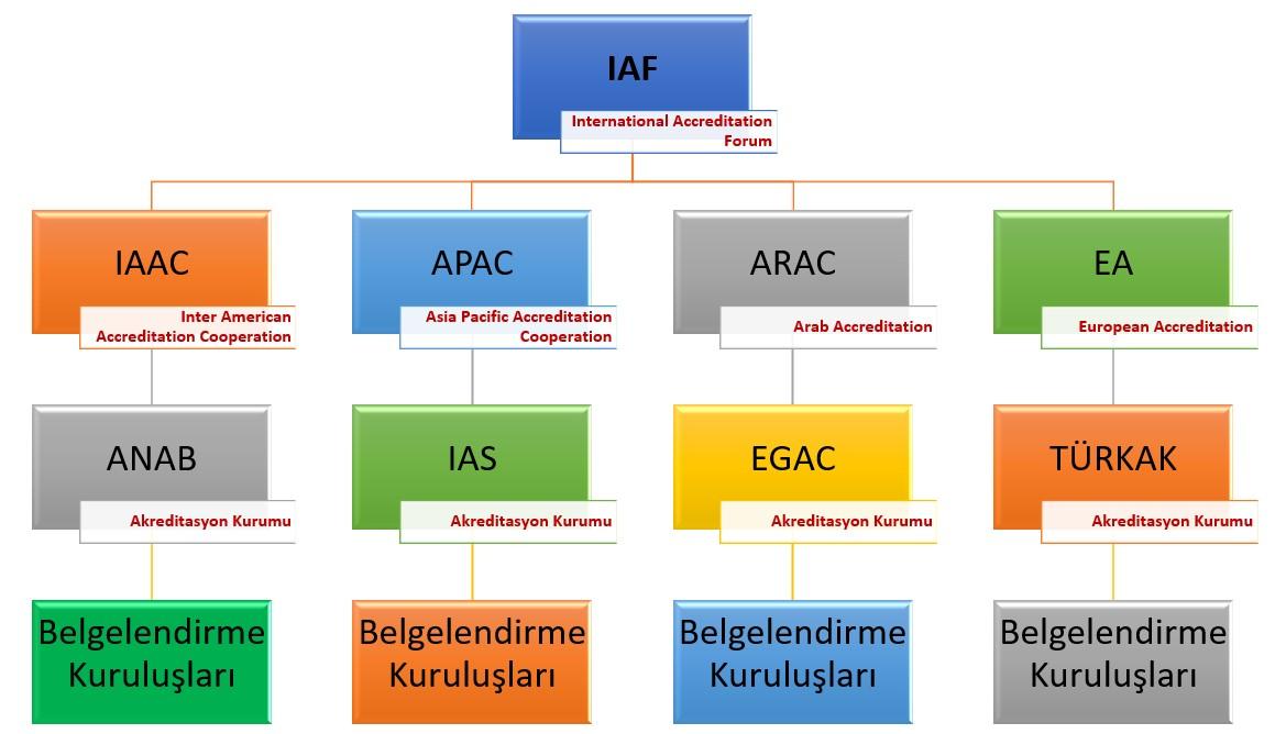 5) Ekonomik etkileri: Akreditasyon işletmelere nasıl katkı sağlar?