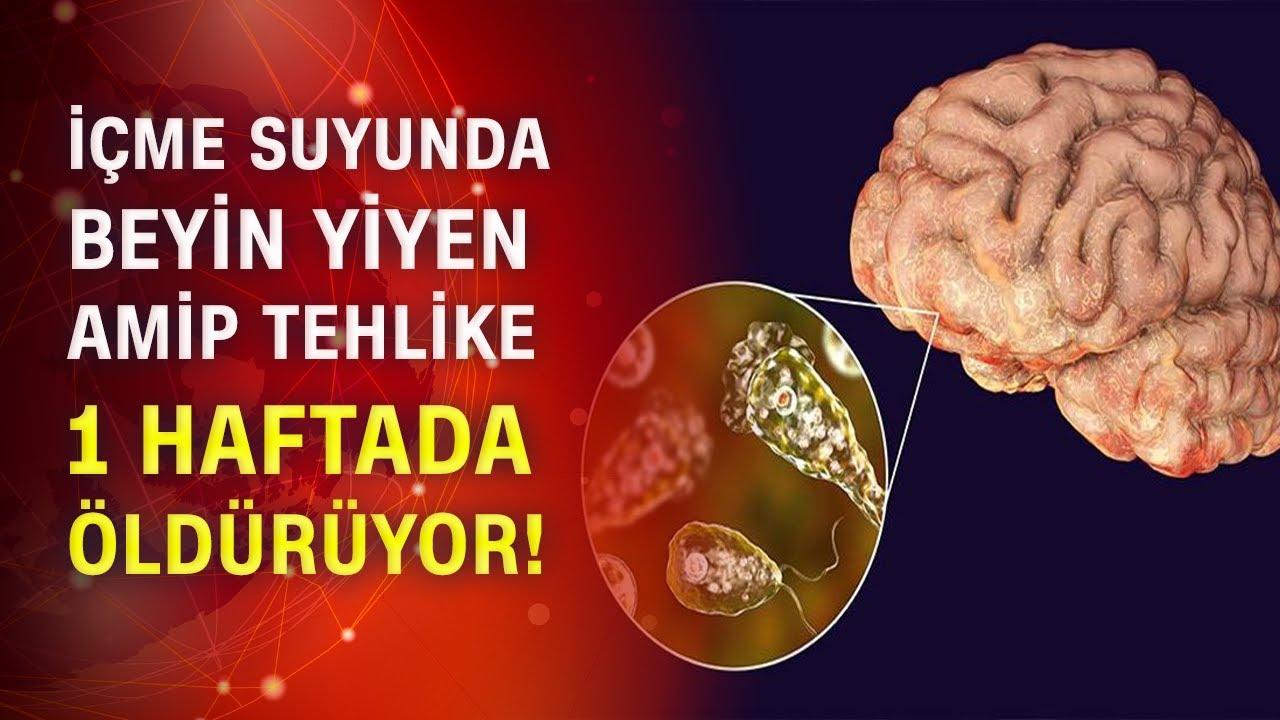 1) Beyin yiyen amip nedir ve nasıl adlandırılmıştır?