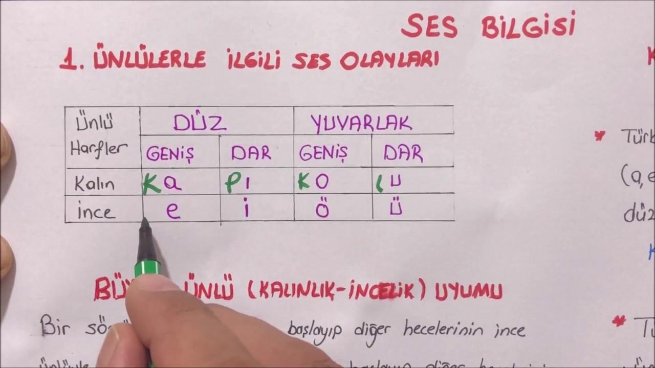 3) Küçük ünlü‍ uyumunun kuralları nelerdir?