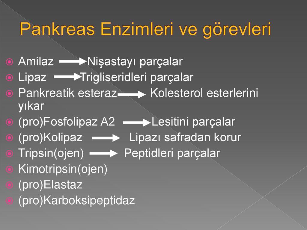 3) Pankreatik Enzimler: Amilaz, lipaz ve tripsin gibi enzimler sindirime yardımcı olur