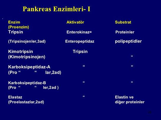 2) Pankreatik enzimler, yağ, protein ve karbonhidratların sindiriminde kritik rol oynar