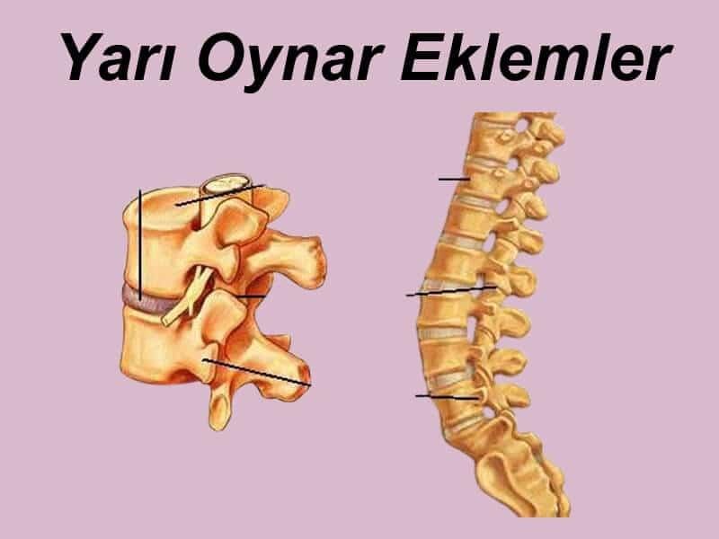 4) Farklı eklemlerin farklı hareket açıklığı değerleri vardır