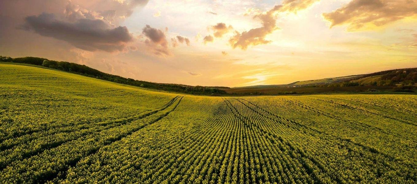 7) Tarım, iklim değişikliğinden en fazla etkilenen sektörlerden biridir