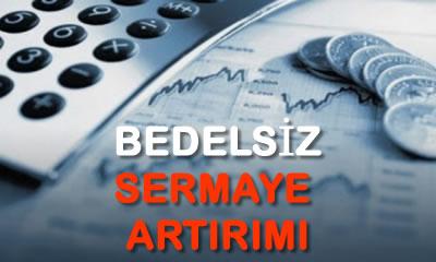 4) Bedelsiz ‍sermaye artırımının şirket finansmanına etkisi