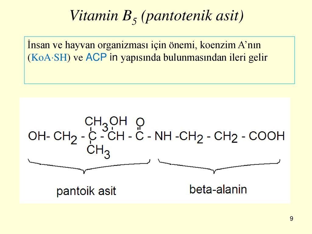 6) ⁣koenzim A:​ Metabolizmanın bazı aşamalarında rol oynar​ ve kırmızı ⁣pigmentlerin sentezine katkıda ⁢bulunur