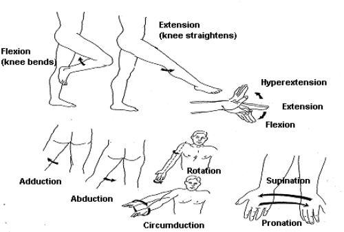 8) Range of Motionu Geliştirmek İçin Egzersizler