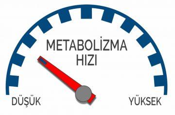 4) ‌Metabolizma​ Hızını Ölçmek