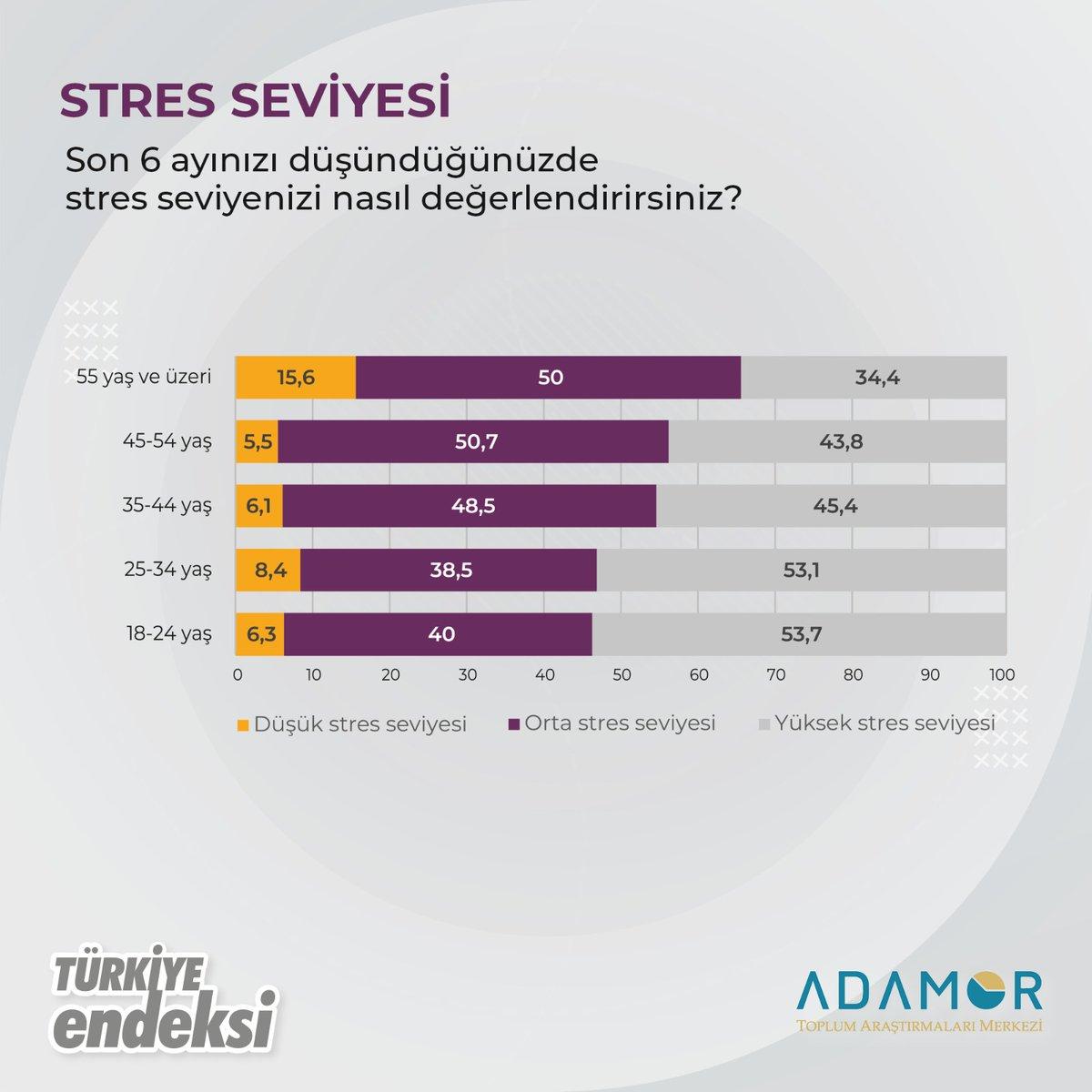 5) Stres Seviyesini Anlamak