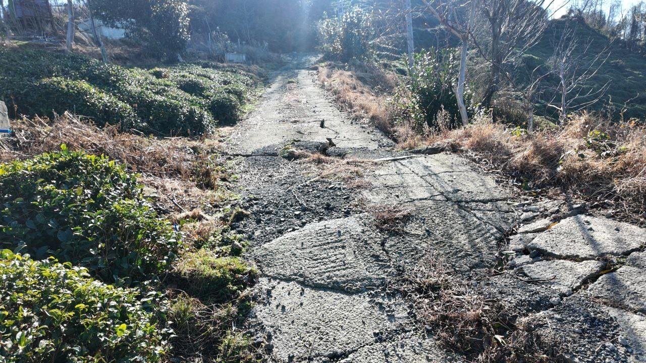 Arhavi'de Heyelan Riski Devam Ediyor: Güngören Köyü Halkı Endişeli