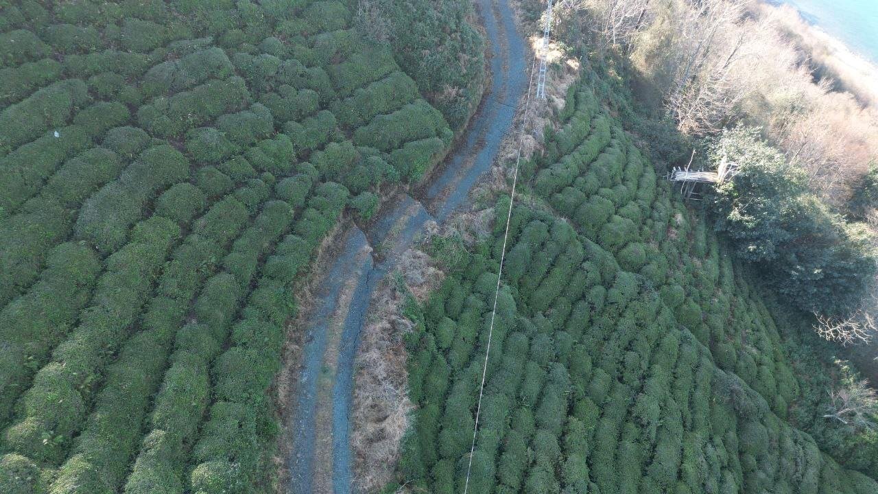 Arhavi'de Heyelan Riski Devam Ediyor: Güngören Köyü Halkı Endişeli