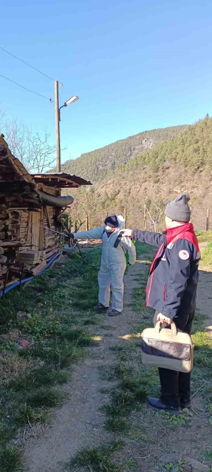 Artvin’de Kahverengi Kokarca İle Mücadelede İlaçlama Faaliyetleri Sürüyor