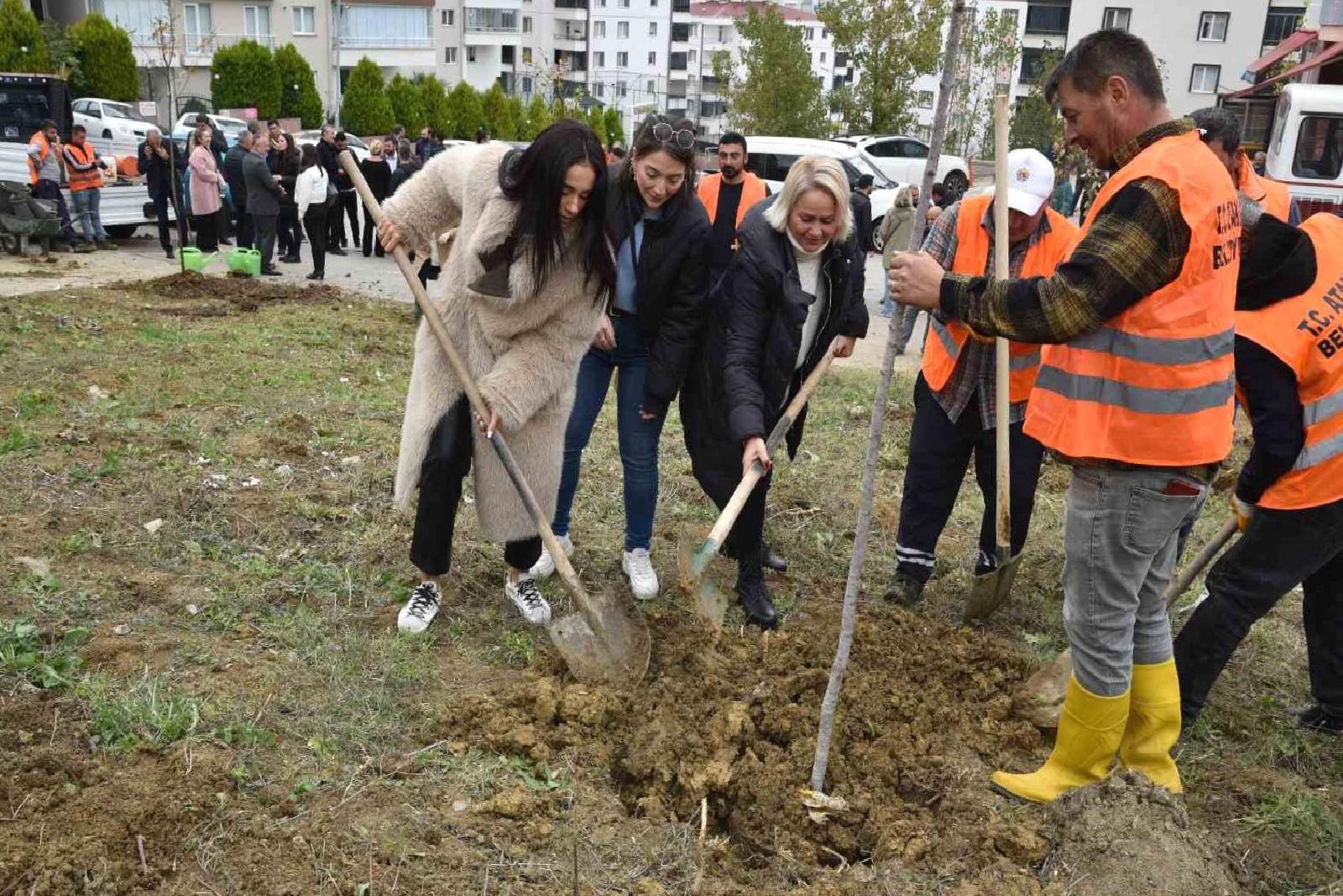 Sera Alanları ve Çeşitlilik