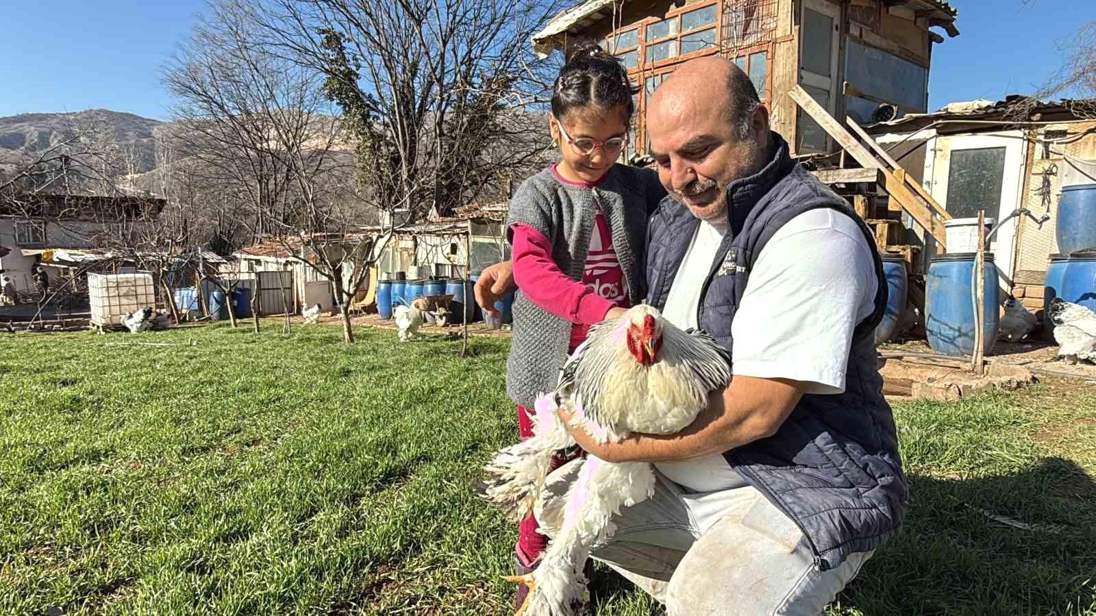 Mehmet Bingöl'ün Tavuklarla Dolu Dünyası