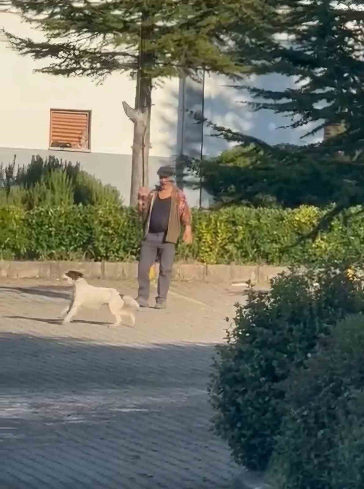 Bartın'da Hayvanlara Eziyet İddiası