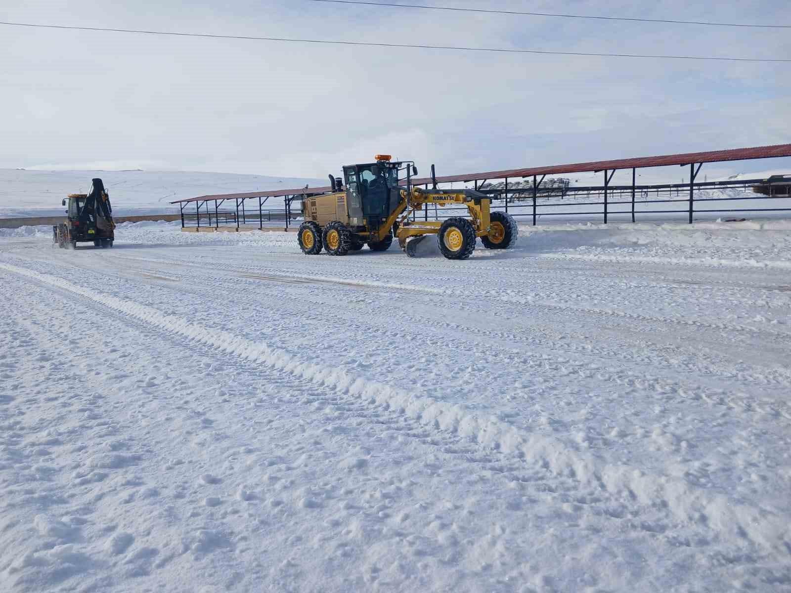 Kapatma Süreci ve Karantina Uygulamaları