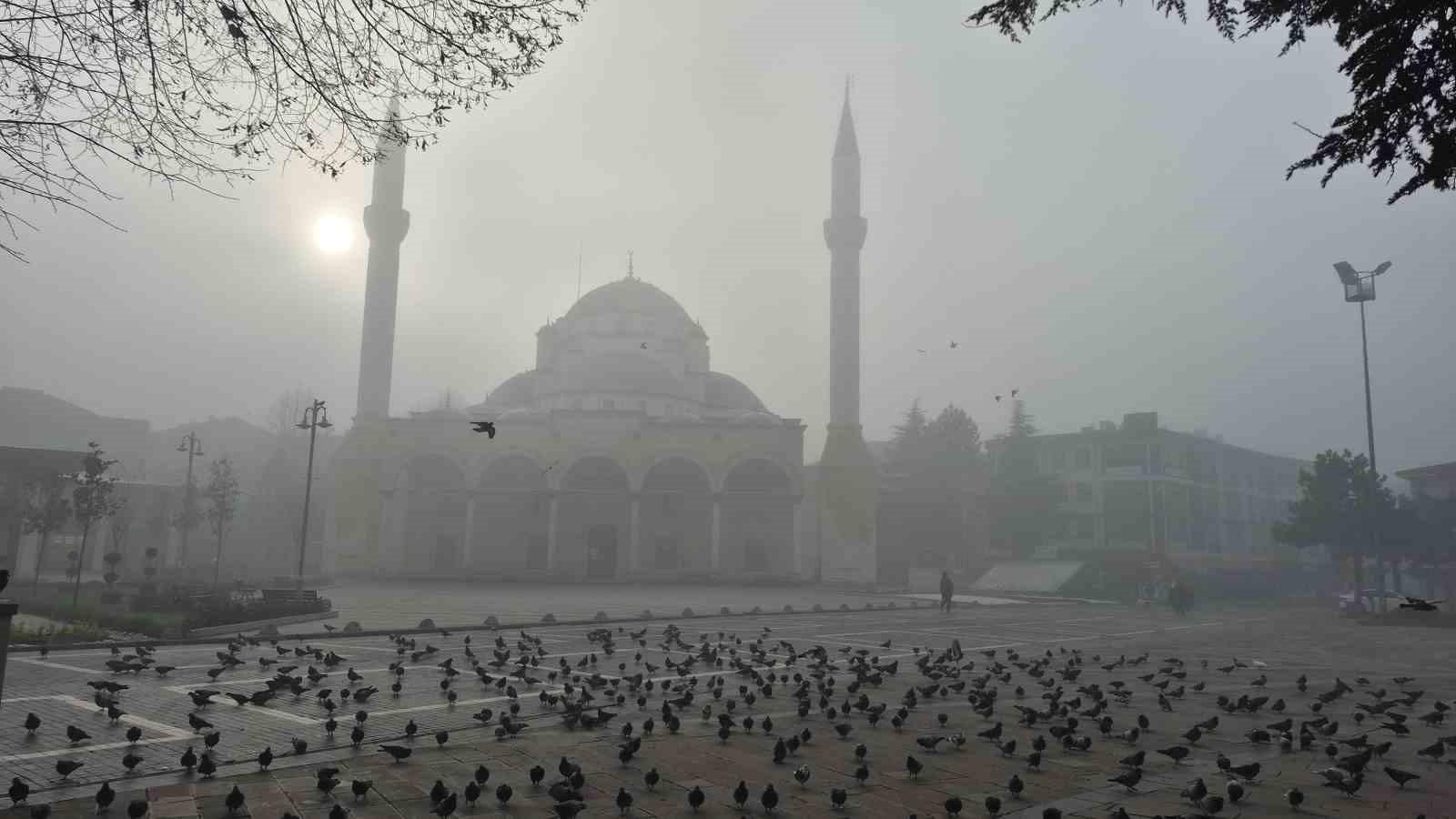 Düzce'de Görülen Yoğun Sis, Hayatı Olumsuz Etkiliyor