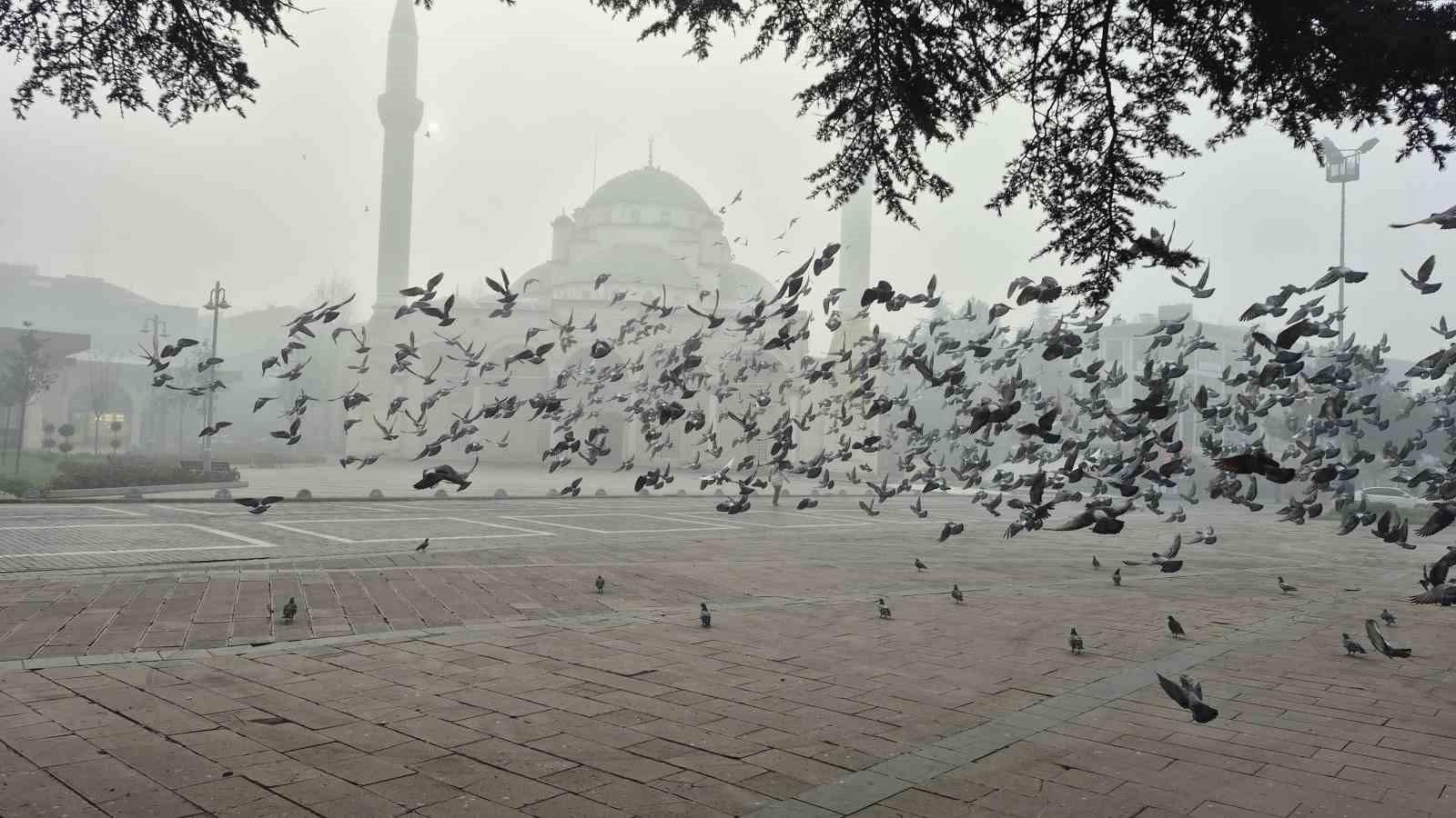 Düzce'de Görülen Yoğun Sis, Hayatı Olumsuz Etkiliyor