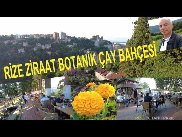 3) Rize Botanik Bahçesi:‍ bitki Çeşitliliğinin ‌Keşfi