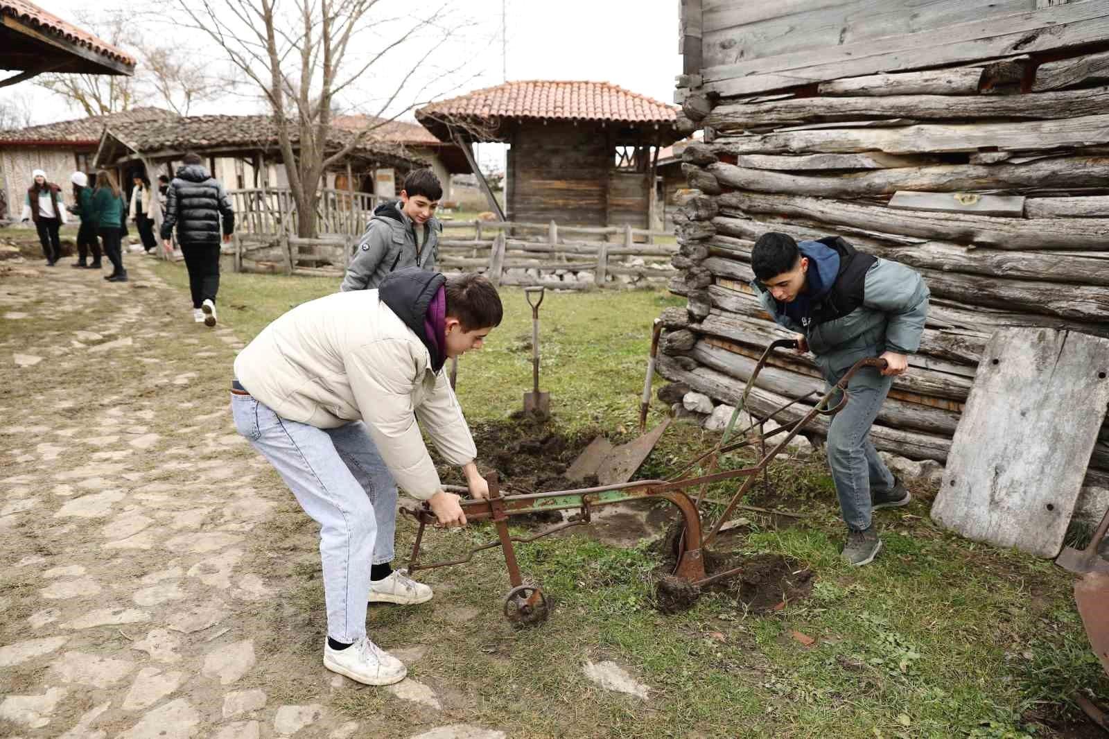 Gezinin Detayları