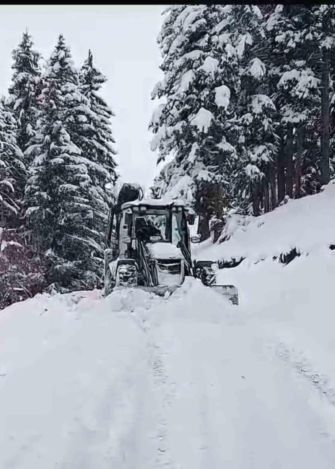 Giresun'da Karla Mücadele Çalışmaları Devam Ediyor