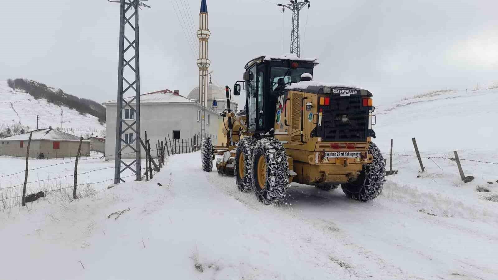 Giresun'da Kış Koşulları ve Mücadele