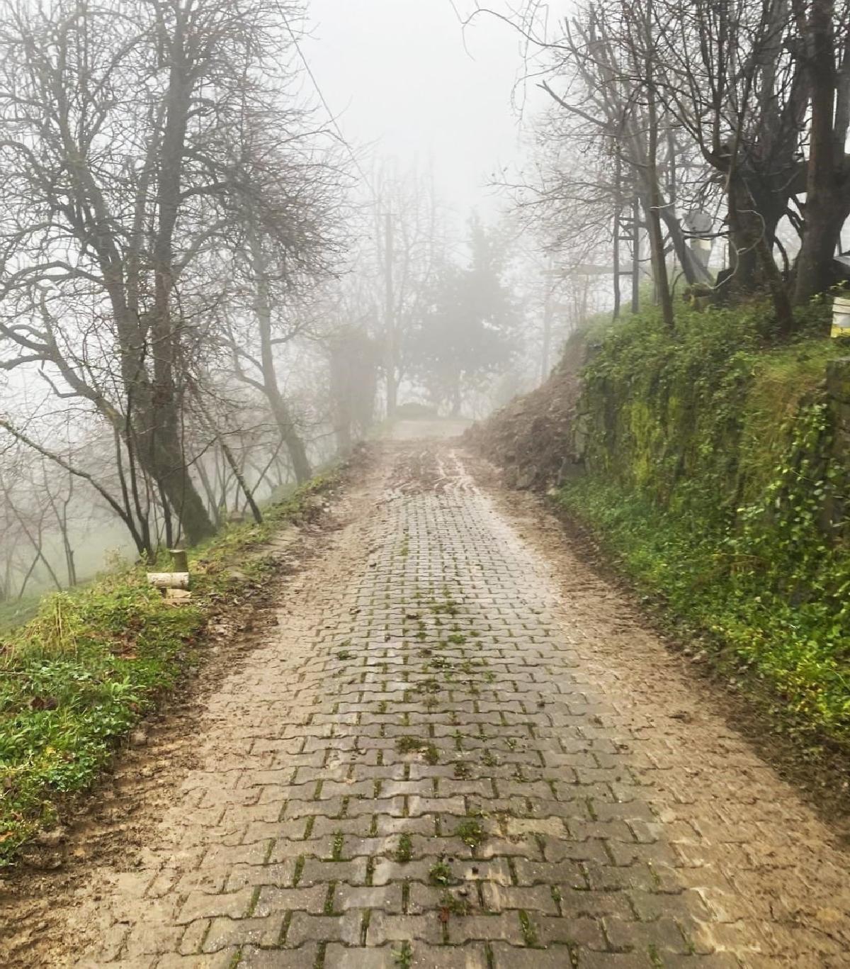 Yol Açıldı, Hayat Normale Dönüyor