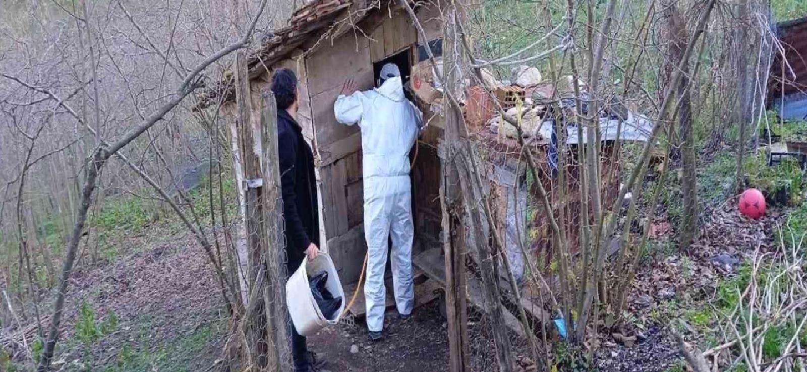 Kahverengi Kokarca Mücadelesi: Ordu'da 200 Bin Nokta İlaçlandı