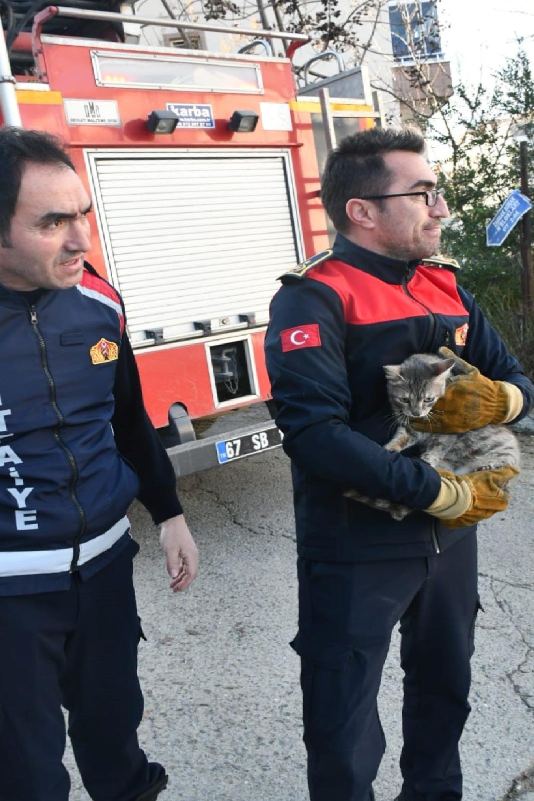 Kedi Ağaçta Mahsur Kaldı, İtfaiye Kurtardı