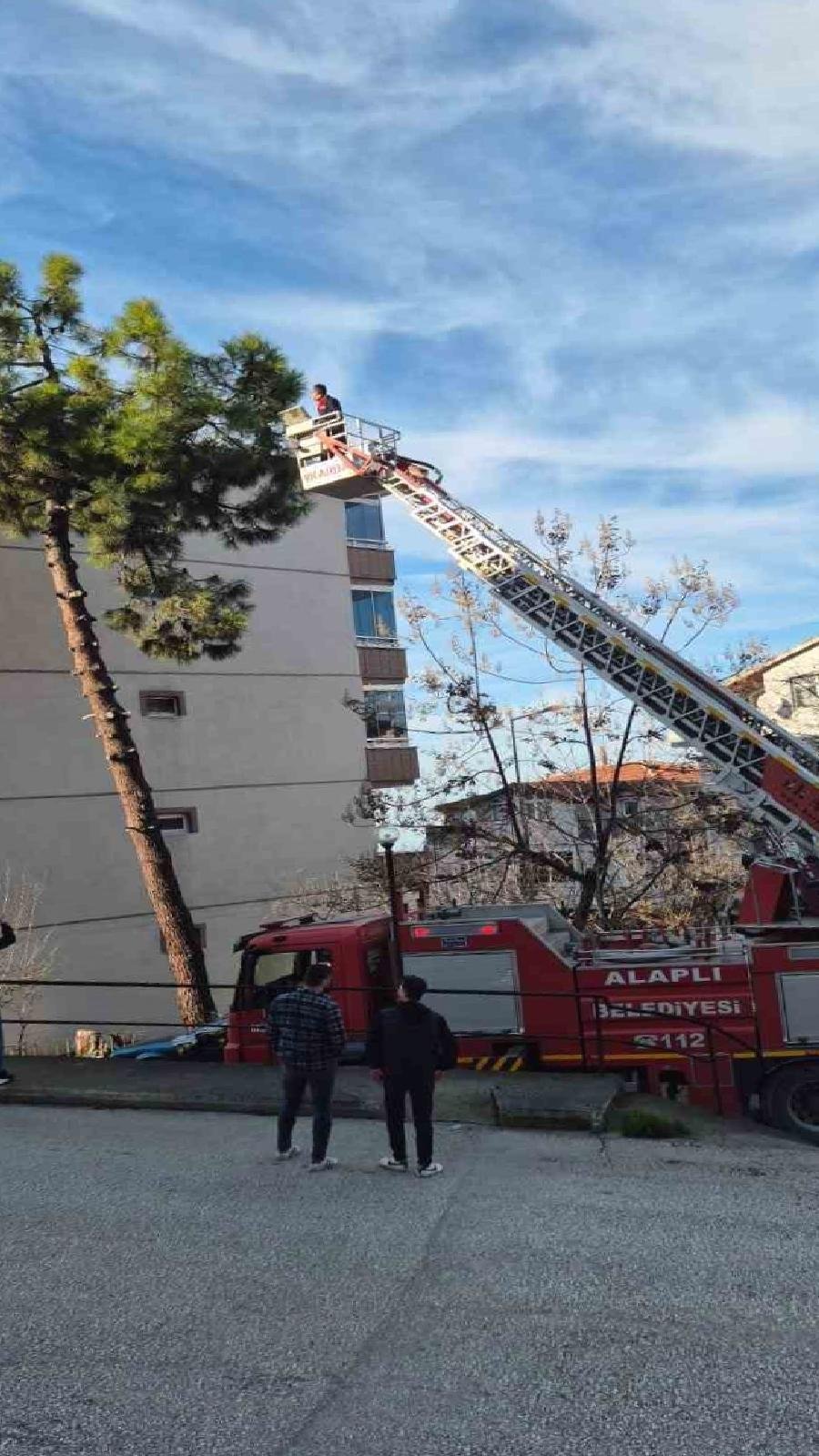 Kedi Ağaçta Mahsur Kaldı, İtfaiye Kurtardı
