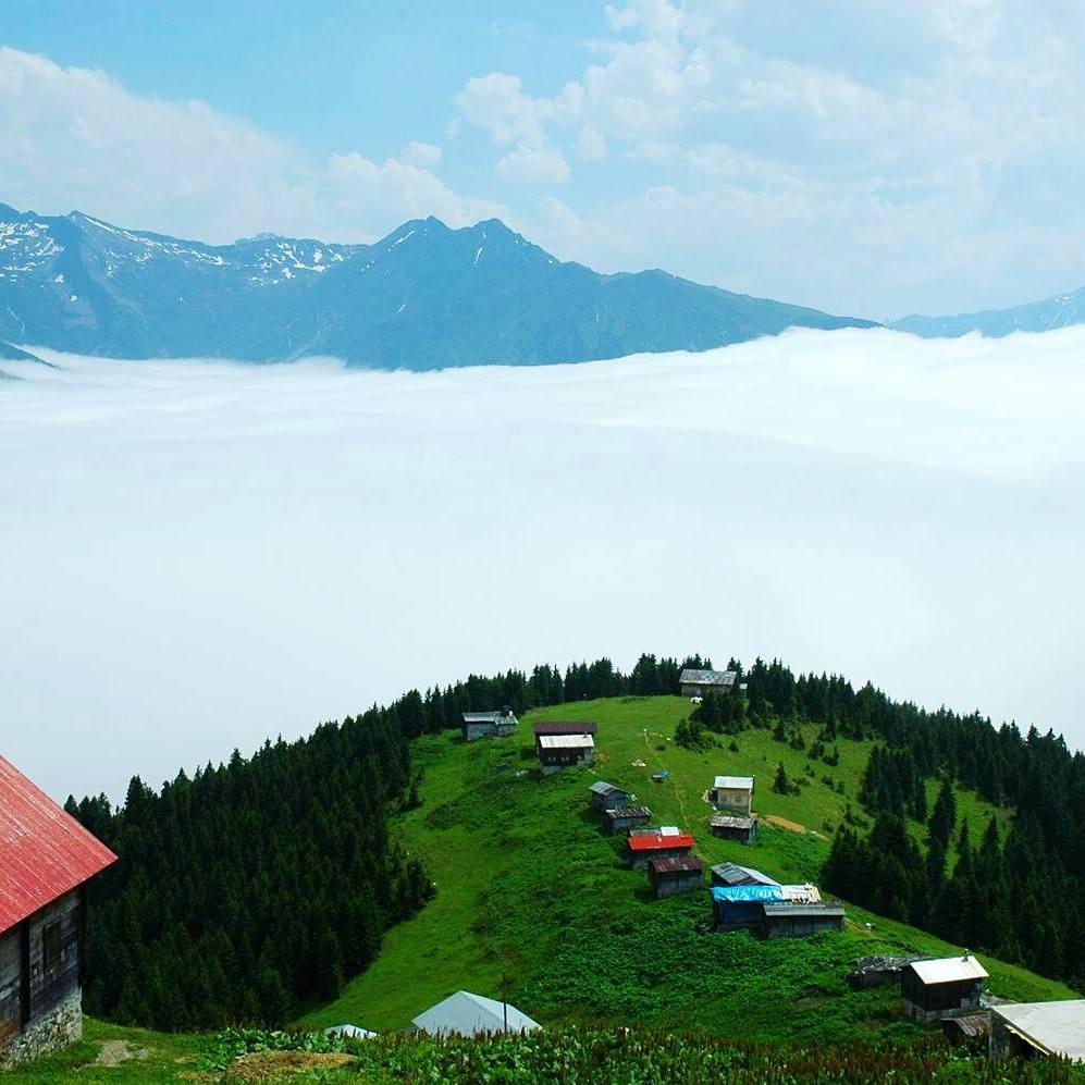 8) Pokut Yaylası: Sessizliğin ve Doğanın ⁤Birleştiği ⁤Nokta