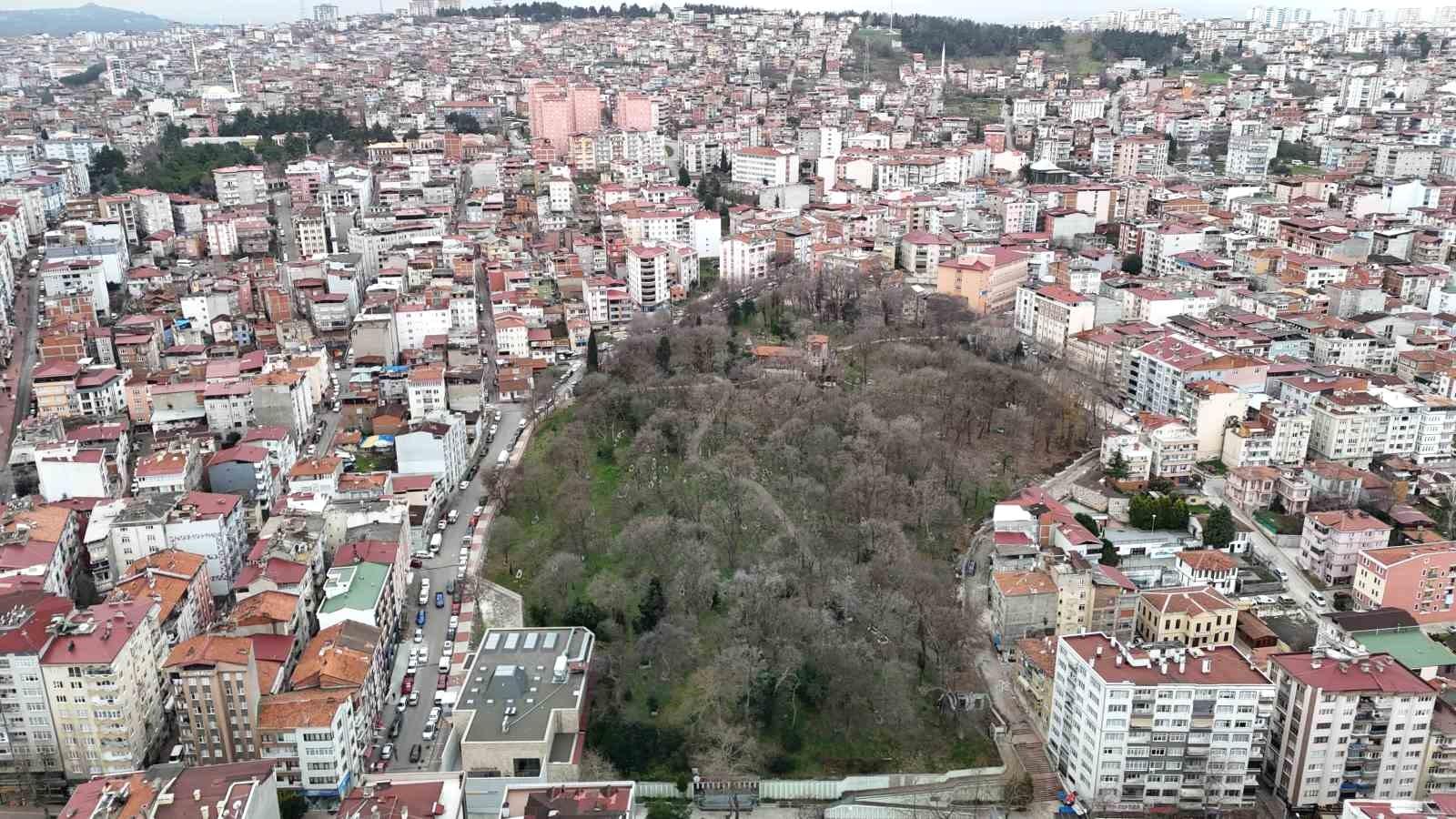 Özel Eserler ve Ziyaretçi Deneyimi