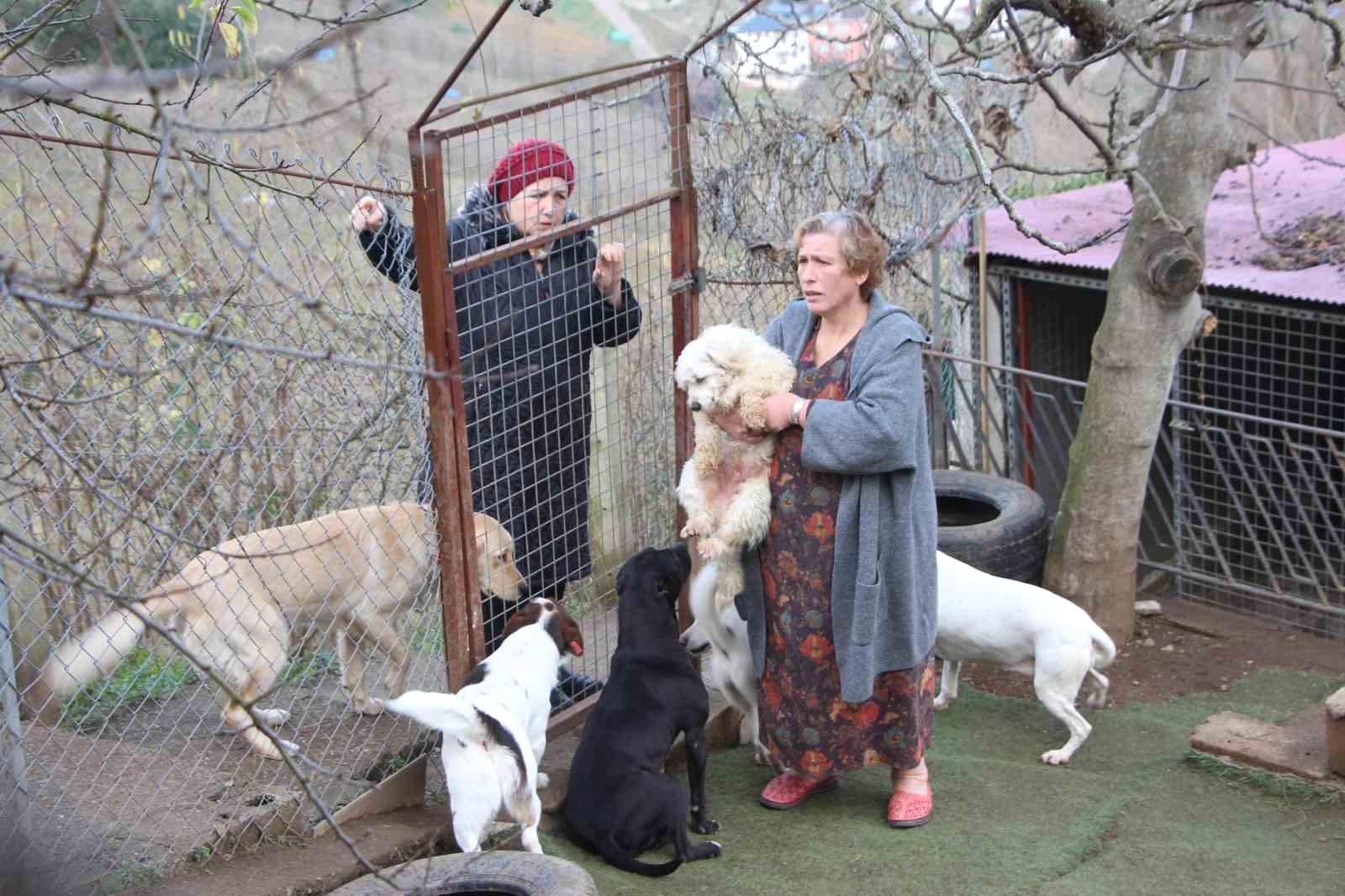 Sevimli Dostların Hayatına Dokunan Nur'un Sıcak Hikayesi