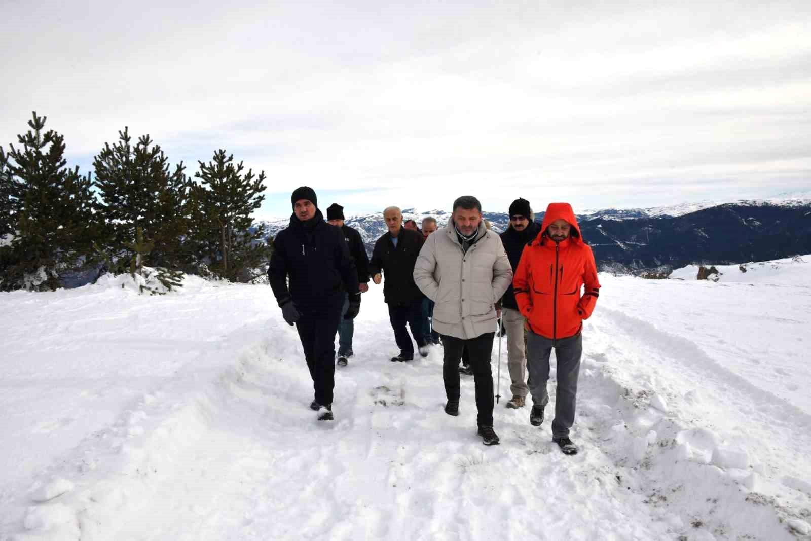 Yapay Zeka Özeti