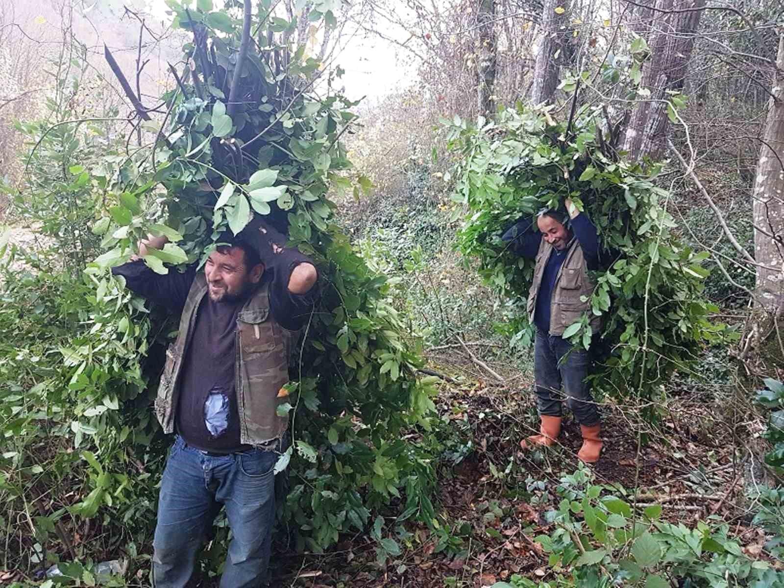 Ağaçlandırma Çalışmaları