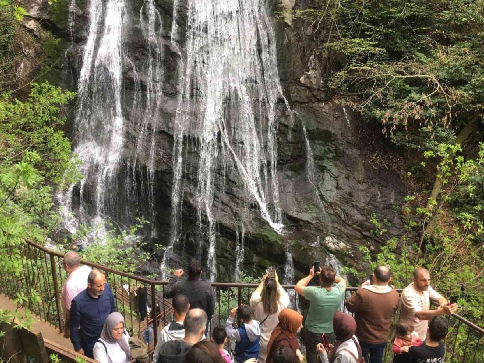 Korunan Alanlar: Bir Doğa Harikası