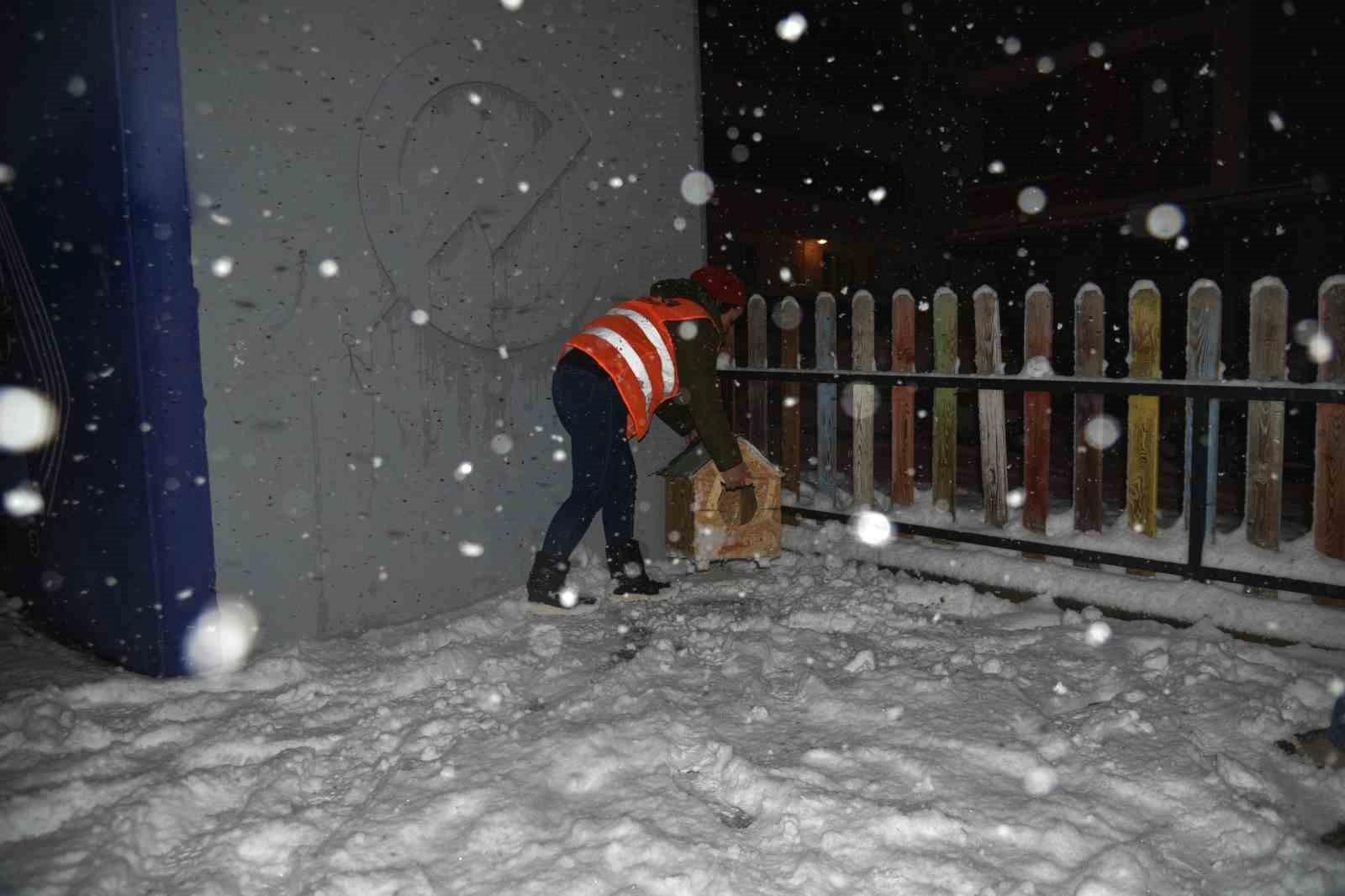 Atakum Belediyesi'nden Sokak Hayvanlarına Destek