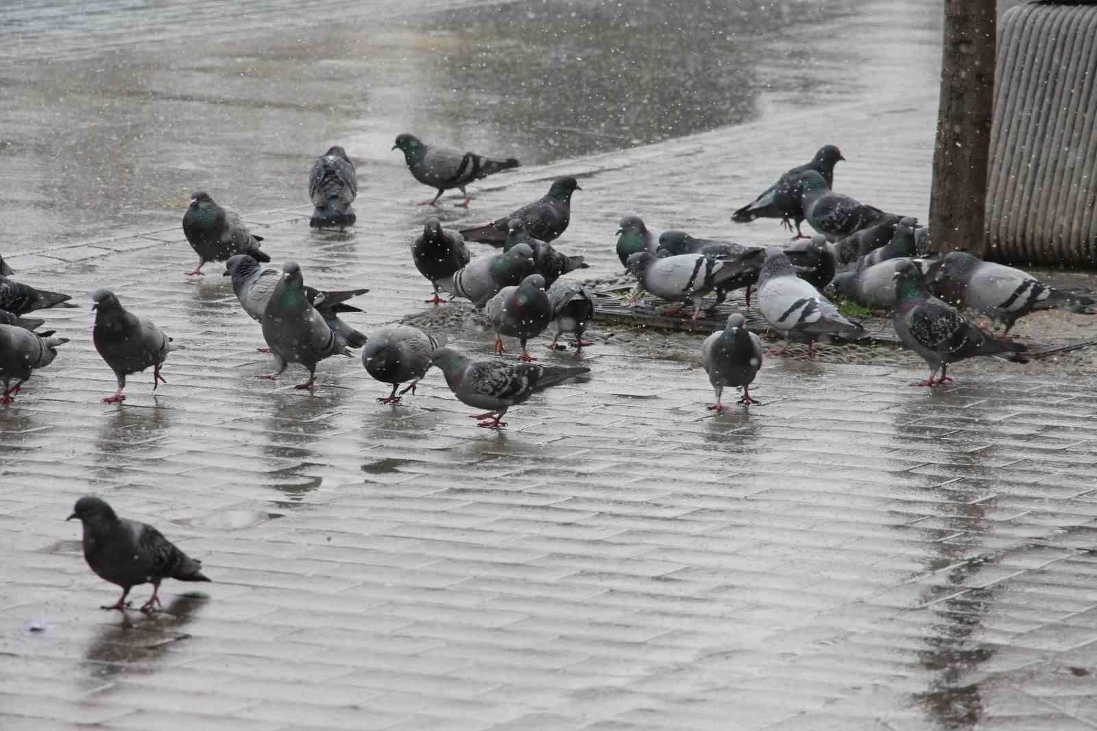 Bolu'da Aralıklarla Devam Eden Kar Yağışı Şehirdeki Manzarayı Değiştiriyor