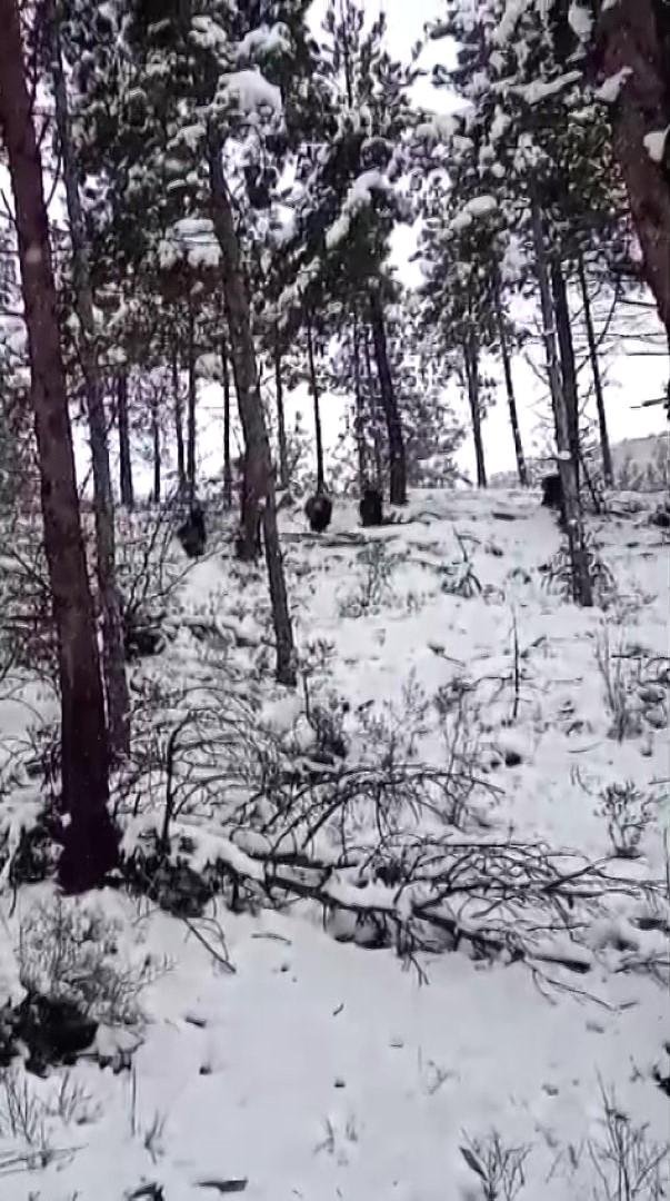 Doğa Yürüyüşünün Getirdiği Avantajlar