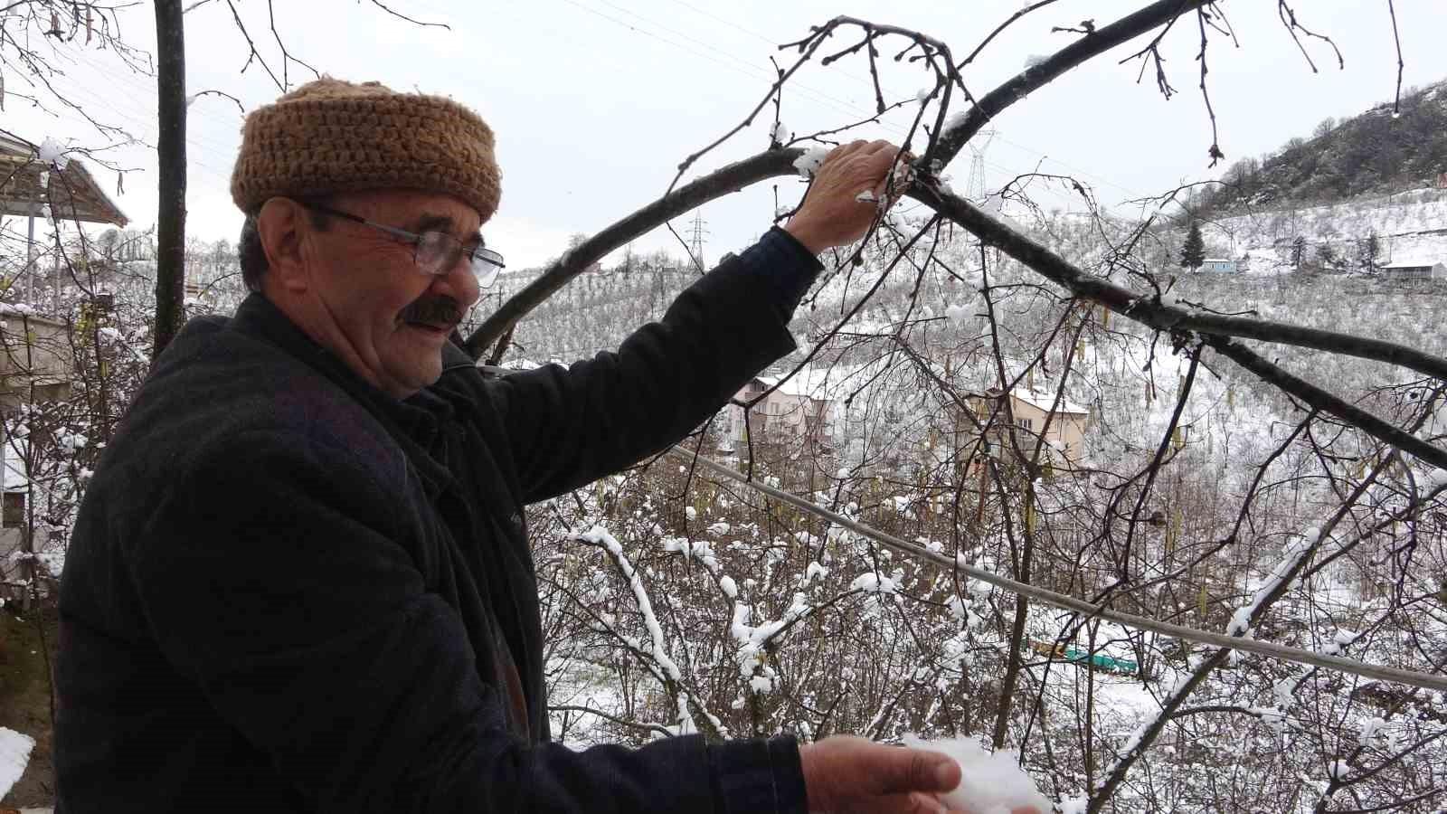 Giresun'da Kar Yağışı Fındık Üreticilerini Sevindiriyor