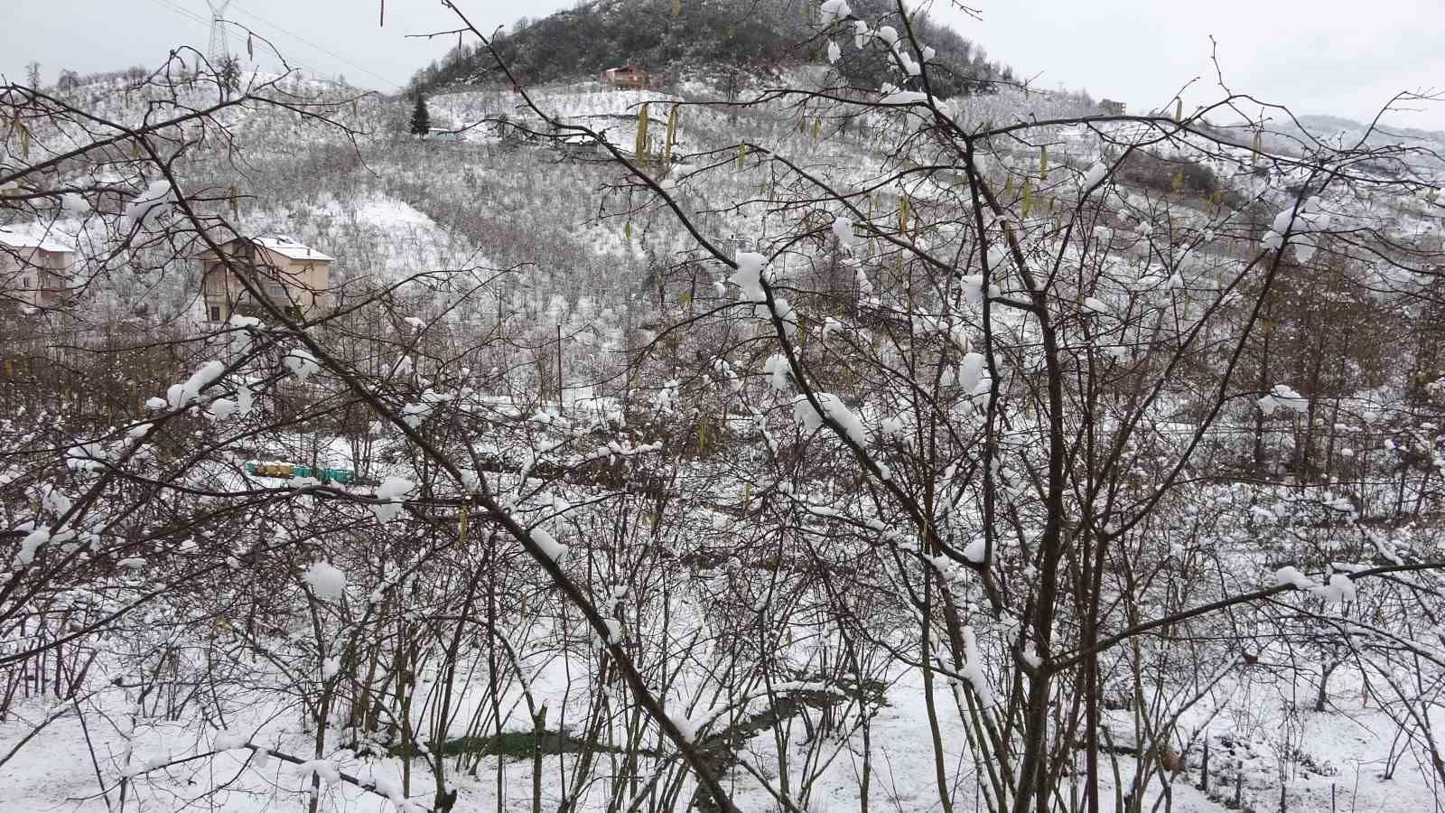 Karın Fındık Üzerindeki Olumlu Etkileri