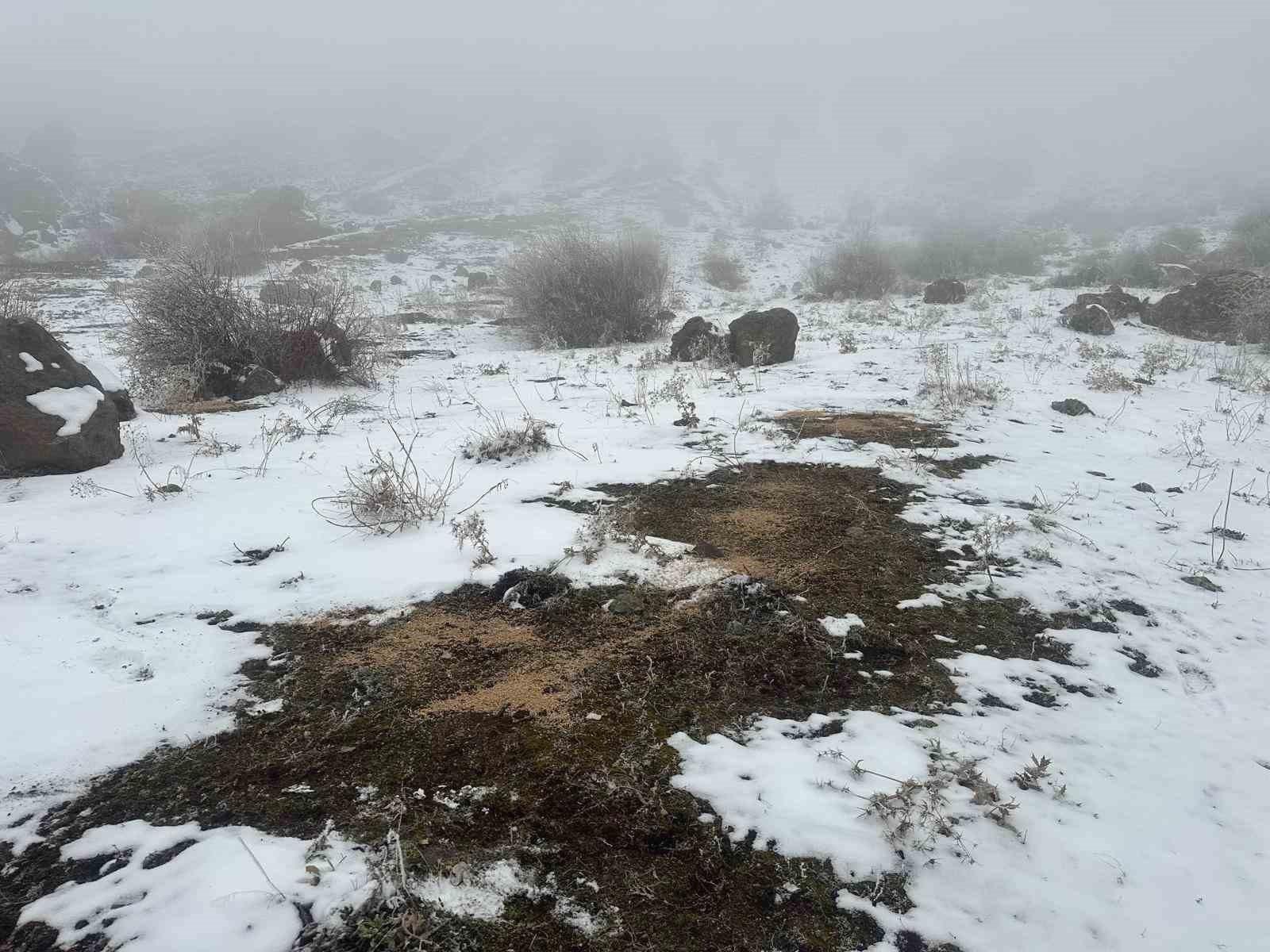 Giresun'da Yaban Hayvanları İçin Yemleme Çalışmaları Başlatıldı