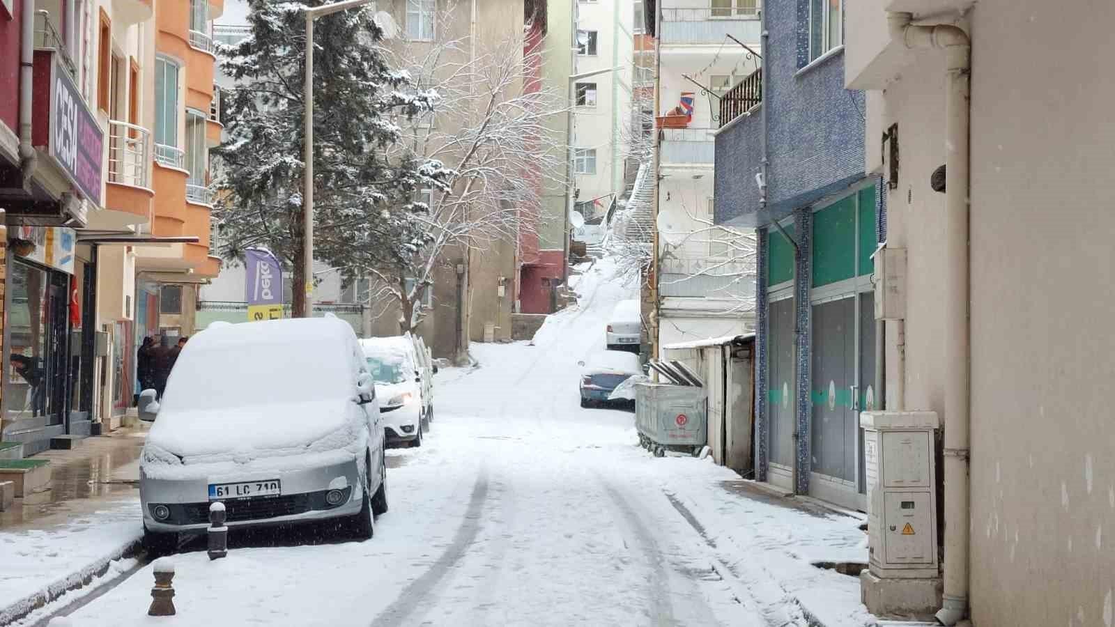 Gümüşhane'de Kar Yağışı Etkili Oldu