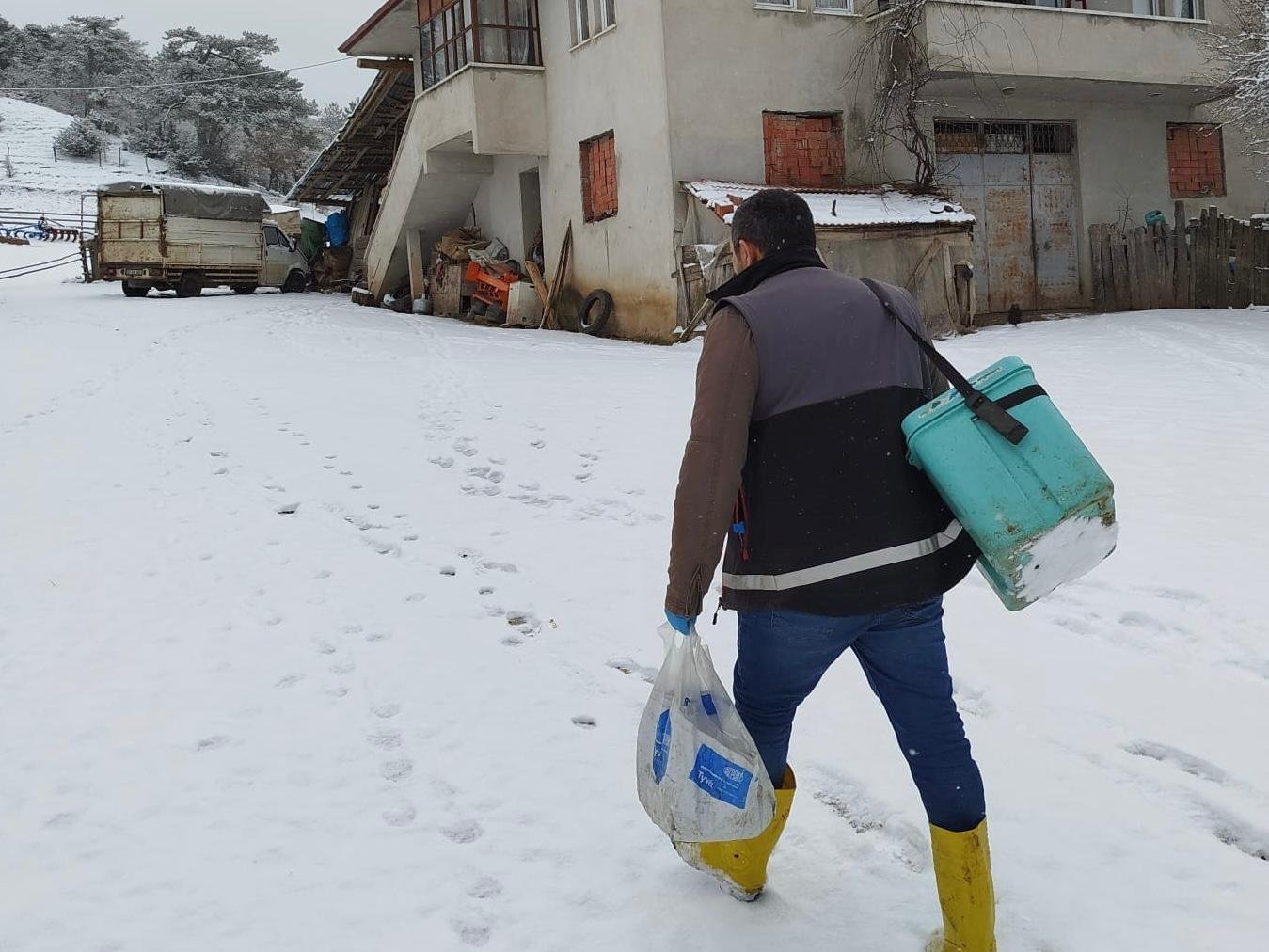 Kastamonu'da Hayvan Sağlığı İçin Aşılama Seferberliği